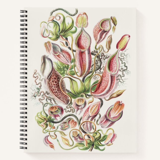 Vintage Ernst Haeckel Botanical Pitcher Plant Notebook (Front)
