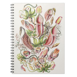 Vintage Ernst Haeckel Botanical Pitcher Plant Notebook