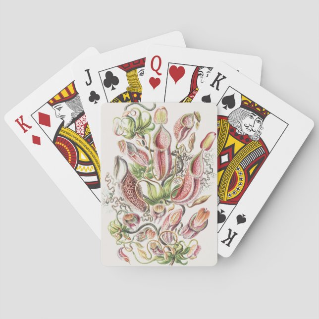 Vintage Ernst Haeckel Botanical Pitcher Plant Playing Cards (Back)