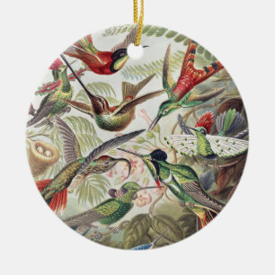 Vintage Ernst Haeckel Colourful Hummingbird Poster Ceramic Tree Decoration