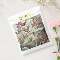 Vintage Ernst Haeckel Colourful Hummingbird Poster