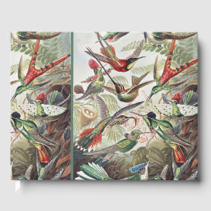 Vintage Ernst Haeckel Colourful Hummingbird Poster Guest Book