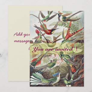 Vintage Ernst Haeckel Colourful Hummingbird Poster Invitation