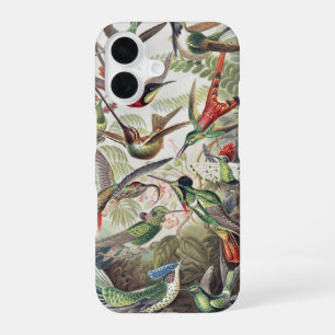 Vintage Ernst Haeckel Colourful Hummingbird Poster iPhone 16 Case