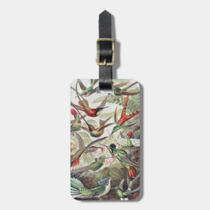 Vintage Ernst Haeckel Colourful Hummingbird Poster Luggage Tag