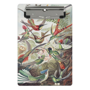 Vintage Ernst Haeckel Colourful Hummingbird Poster Mini Clipboard