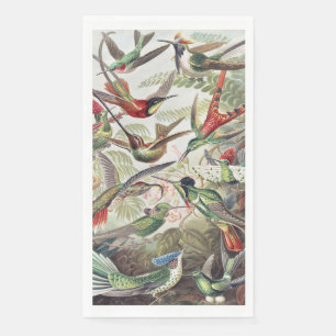 Vintage Ernst Haeckel Colourful Hummingbird Poster Napkin