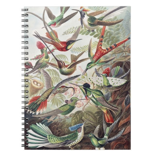 Vintage Ernst Haeckel Colourful Hummingbird Poster Notebook (Front)