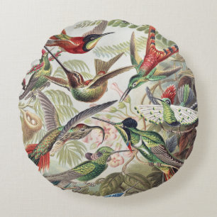 Vintage Ernst Haeckel Colourful Hummingbird Poster Round Cushion