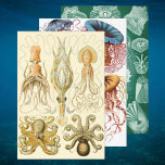 Vintage Ernst Haeckel Marine Life Designs Wrapping Paper Sheet<br><div class="desc">Vintage illustration marine life biology designs by Ernst Haeckel. Sheet 1: A variety of giant squid and octopi animals commonly found in the ocean waters. Sheet 2: A variety of colourful jellyfish animals swimming in the waters of the sea. Jelly fish are free swimming aquatic animals with an umbrella shaped...</div>