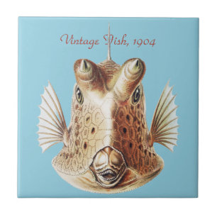 Vintage Ernst Haeckel Nautical Gold Cowfish Art Tile