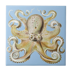Vintage Ernst Haeckel Octopus Nautical Sea Life Tile