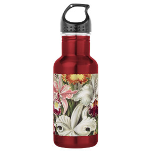 Vintage Ernst Haeckel Orchid Botanical Print 532 Ml Water Bottle