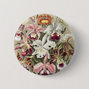 Vintage Ernst Haeckel Orchid Botanical Print 6 Cm Round Badge