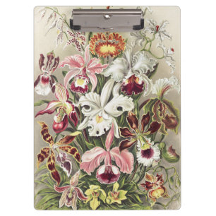 Vintage Ernst Haeckel Orchid Botanical Print Clipboard