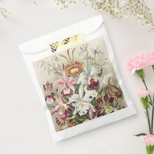 Vintage Ernst Haeckel Orchid Botanical Print Favour Bags