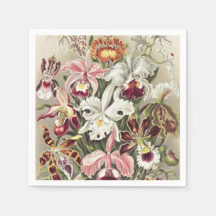 Vintage Ernst Haeckel Orchid Botanical Print Napkin