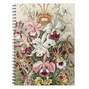 Vintage Ernst Haeckel Orchid Botanical Print Notebook