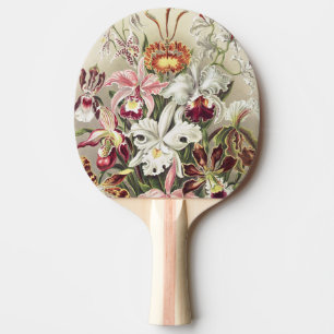 Vintage Ernst Haeckel Orchid Botanical Print Ping Pong Paddle