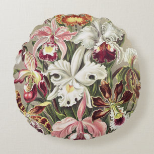 Vintage Ernst Haeckel Orchid Botanical Print Round Cushion