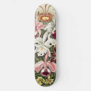 Vintage Ernst Haeckel Orchid Botanical Print Skateboard