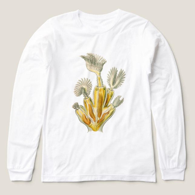 Vintage Ernst Haeckel Tri-Blend Shirt (Design Front)