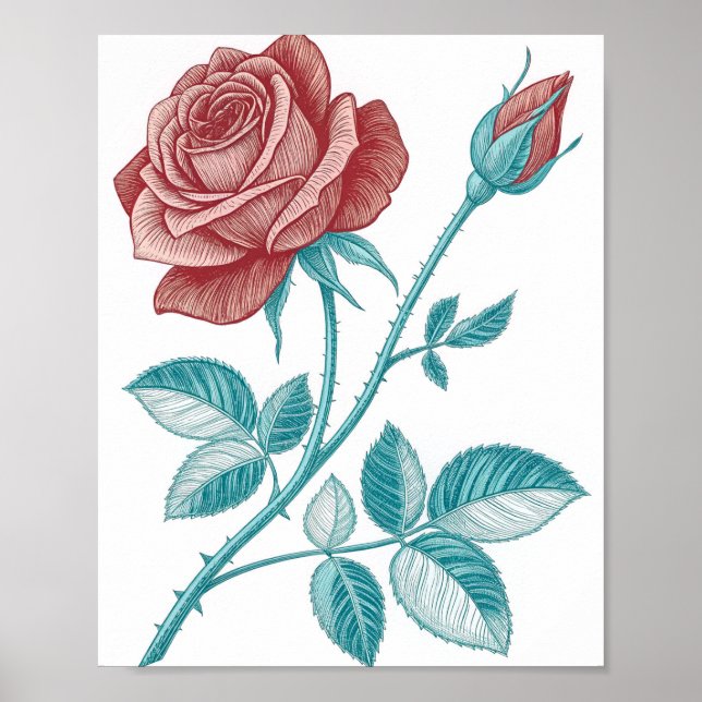 Vintage Etching-Style Botanical Illustration of a  Poster (Front)
