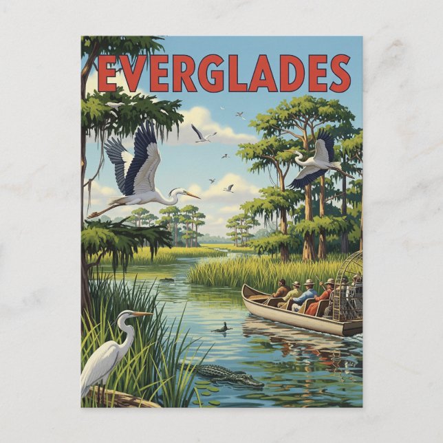 Vintage Everglades National Park Florida Travel Postcard (Front)