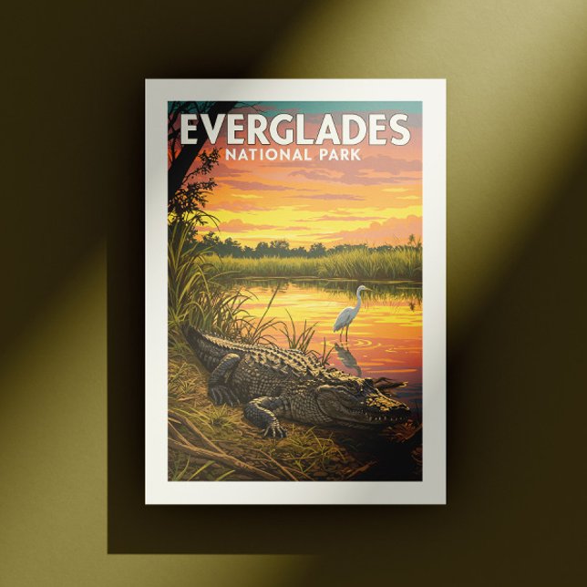 Vintage Everglades National Park Postcard (Creator Uploaded)