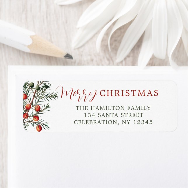 Vintage Evergreen Branch Red Berries (Insitu)