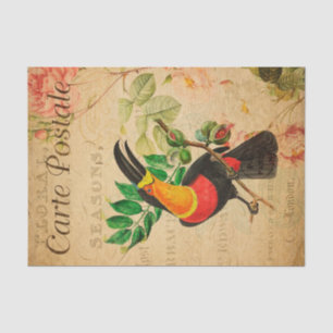 Vintage Exotic Tropical Toucan Bird Floral French Tissue Paper