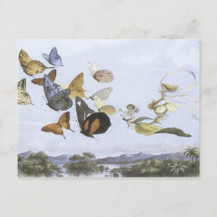 Vintage Faerie Postcard
