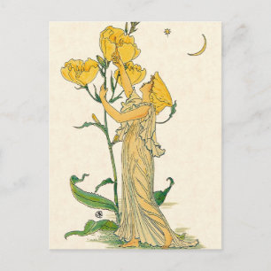 Vintage Fairy Tale, Evening Primrose, Walter Crane Postcard