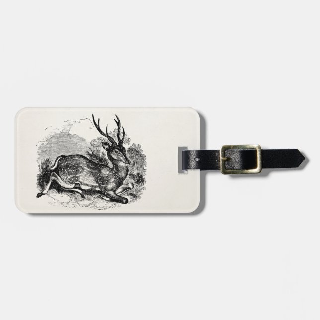 Vintage Fallow Deer Buck Personalised Illustration Luggage Tag (Front Horizontal)