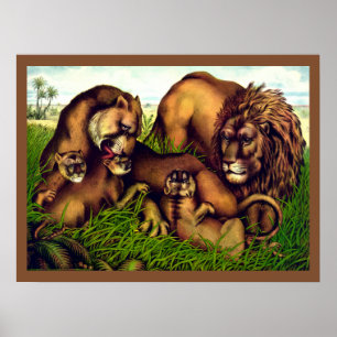 Vintage family of lions painting poster