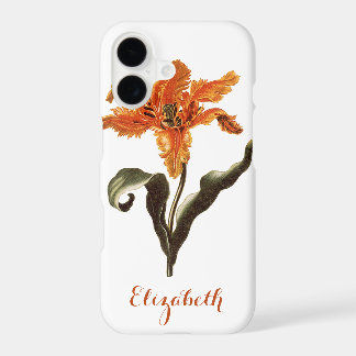 Vintage Fancy Orange Lily in Bloom, Garden Flowers