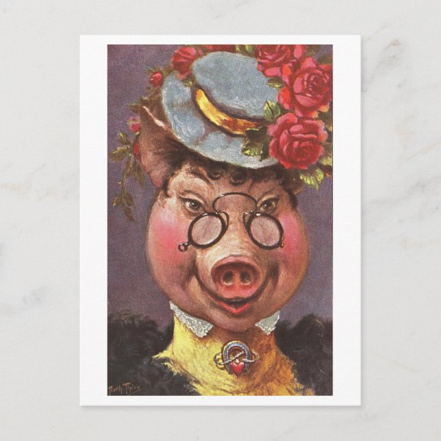 Vintage Fancy Pig Postcard (Front)