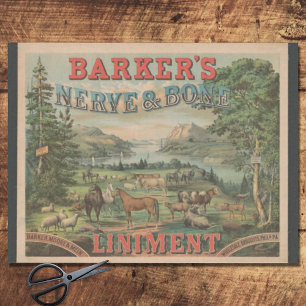 Vintage Farm Animal Typography Ephemeral Ad Tissue Paper