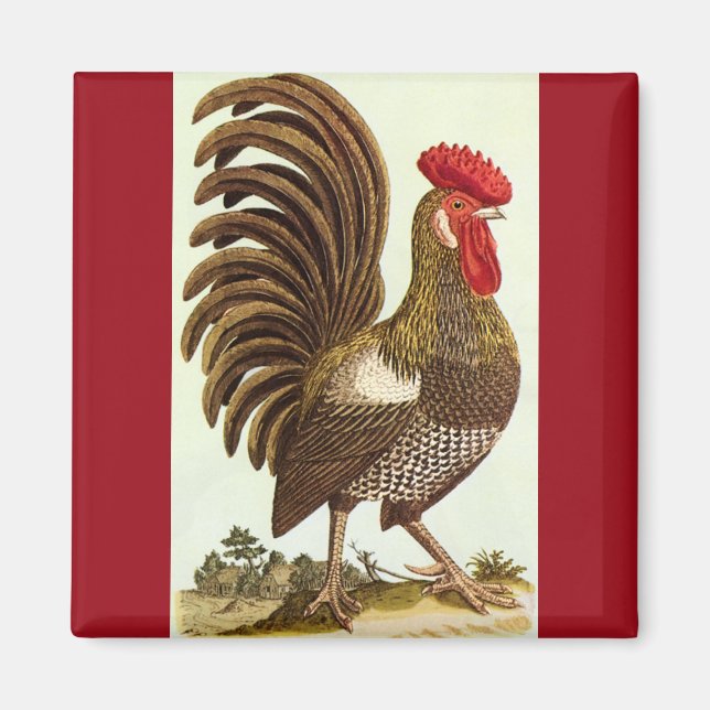 Vintage Farm Animals Chickens, Proud Rooster Magnet (Front)