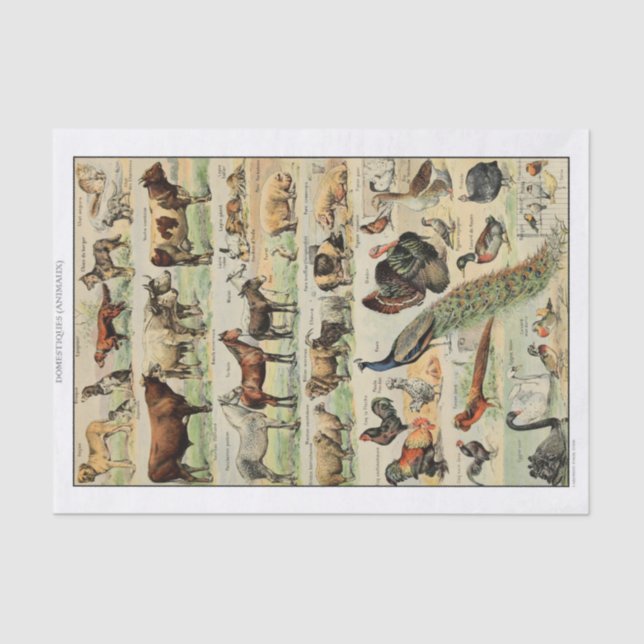 Vintage Farm Animals Decoupage Tissue Paper (Front)