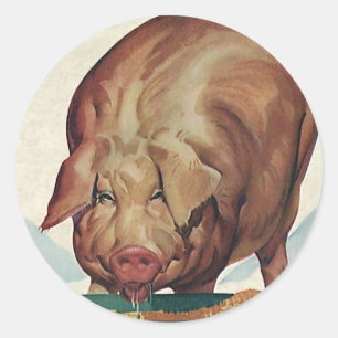 Vintage Farm Animals, Pig Eating Slop at a Trough Classic Round Sticker