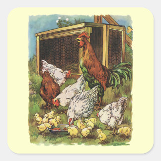 Vintage Farm Animals, Rooster, Hens, Chickens Square Sticker