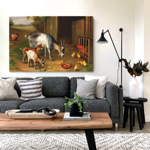 Vintage Farm Goats And Chickens Canvas Print