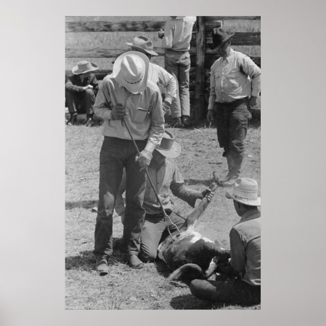 Vintage Farm Security Administration Print (Front)