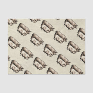 Vintage Farmhouse Pig Country Antique Livestock Tissue Paper
