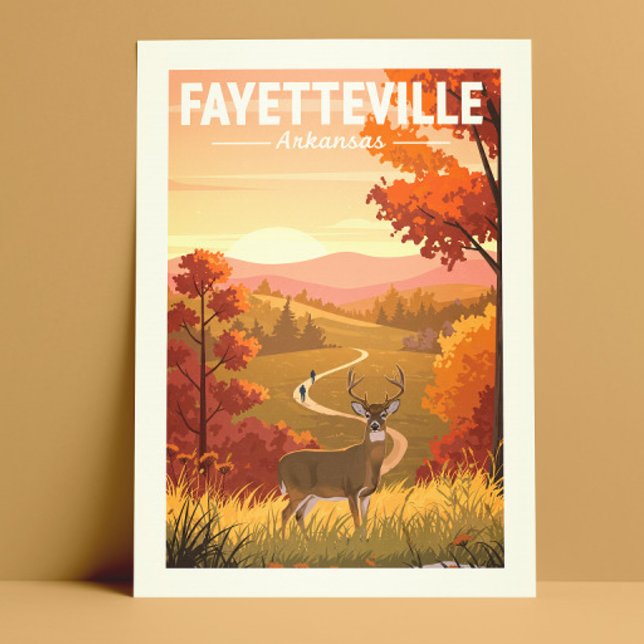 Vintage Fayetteville Arkansas Postcard (Creator Uploaded)
