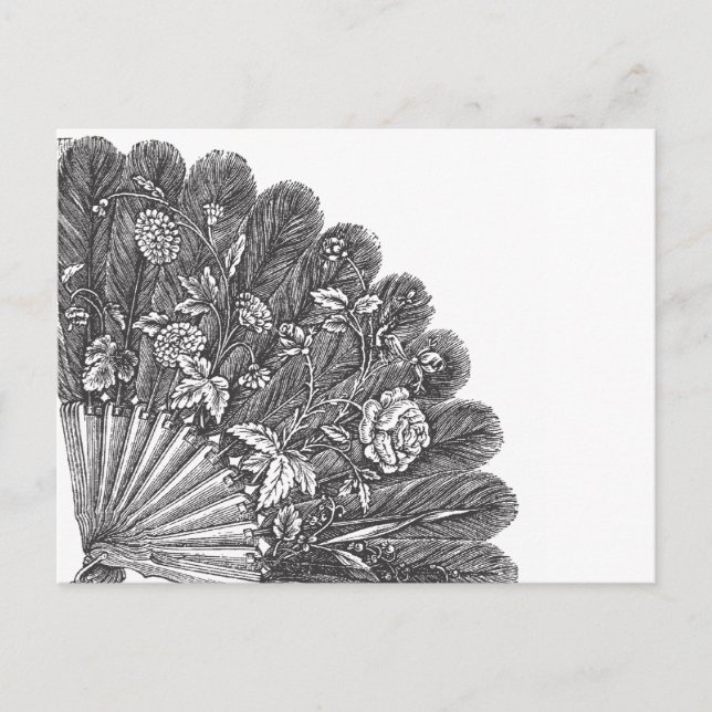 Vintage Feathery Fan Postcard (Front)