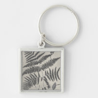 Vintage Ferns