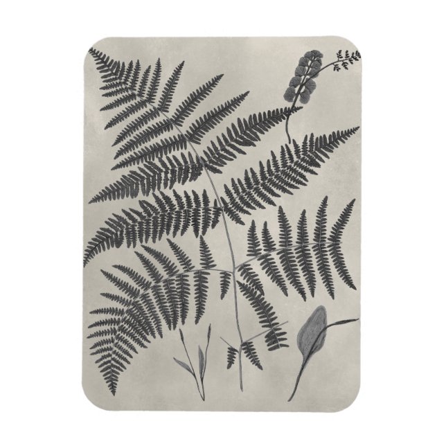 Vintage Ferns Magnet (Vertical)