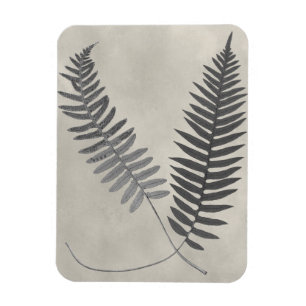 Vintage Ferns Magnet